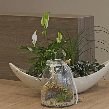 Wittensee Schuetzenhof 호텔